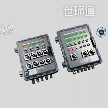 Explosion-proof Electric Control Box MAMX—02/03 Series