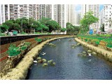 香港渠务署采用普莱姆斯柔性管技术修复污水提升管