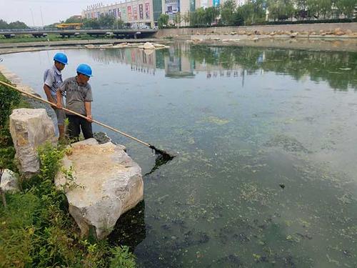 新型河道水泥協同治理技術