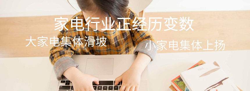 家電行業正經歷變數 大家電集體滑坡 小家電集體上揚