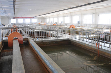 佳木斯龙江环保供水有限公司