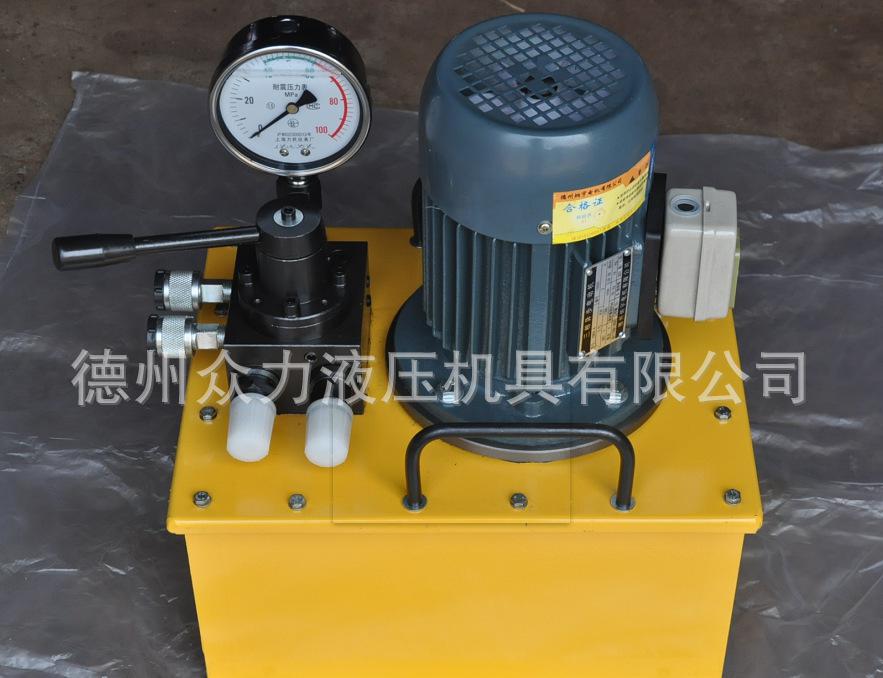 高压泵 超高压液压泵站 DSS DSD系列专业订购 直销