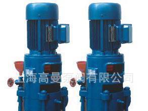40DL6.3*6/ DLR型立式多级离心泵/立式多级泵/高