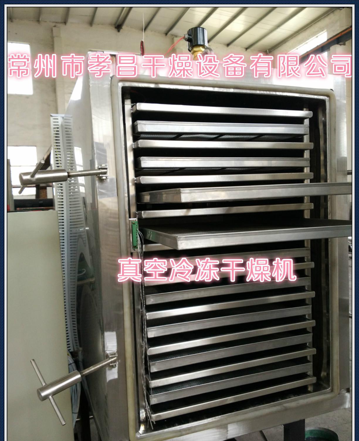 自动化控制的食品冻干机，海产品冷冻干燥机 水果冻干机