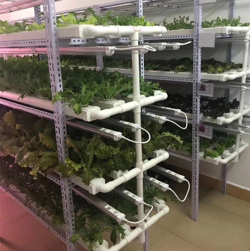 大棚温室无土栽培设备 水培管道工程 大棚蔬菜种植栽培 管道式蔬菜种植系统