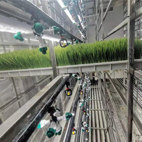 植物工厂种植系统  全新智能环境控制系统价格