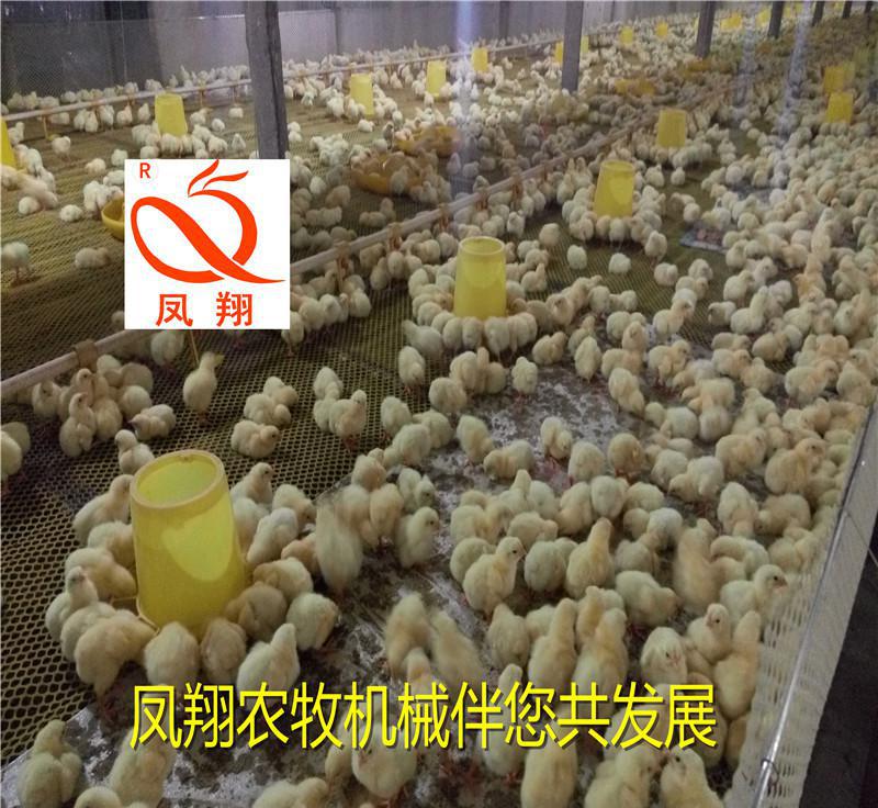 凤翔农牧机械 定做料盘料筒 平养鸡盘式自动喂料 自动化养鸡设备