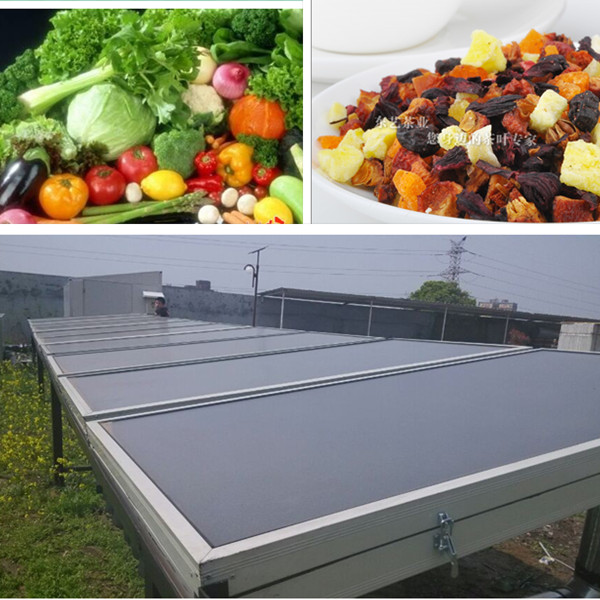 农业农副产品水果干燥机器 太阳能果蔬干燥模块系统 可定制