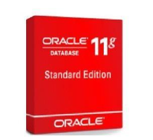 甲骨文Oracle 11G 标准版 25用户 官方正版 数据库软件 正版购买