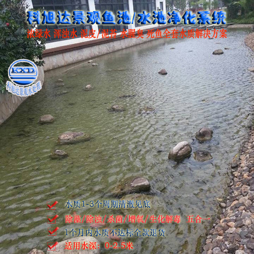 景观水处理工艺流程,科旭达8000吨湖水净化系统石家庄景观河循环处理水清澈洁净