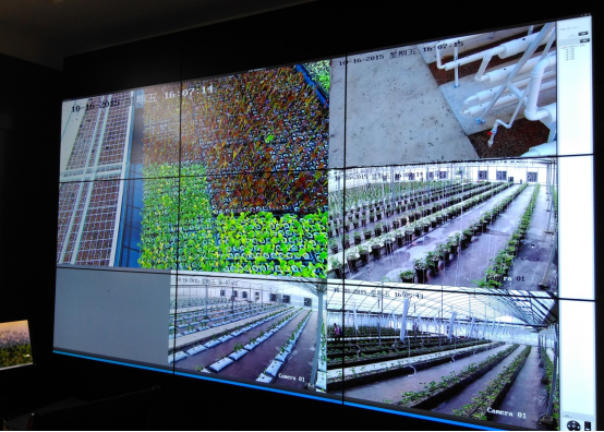 智慧大棚远程监控系统  现代农业远程监控系统智慧农业物联网系统