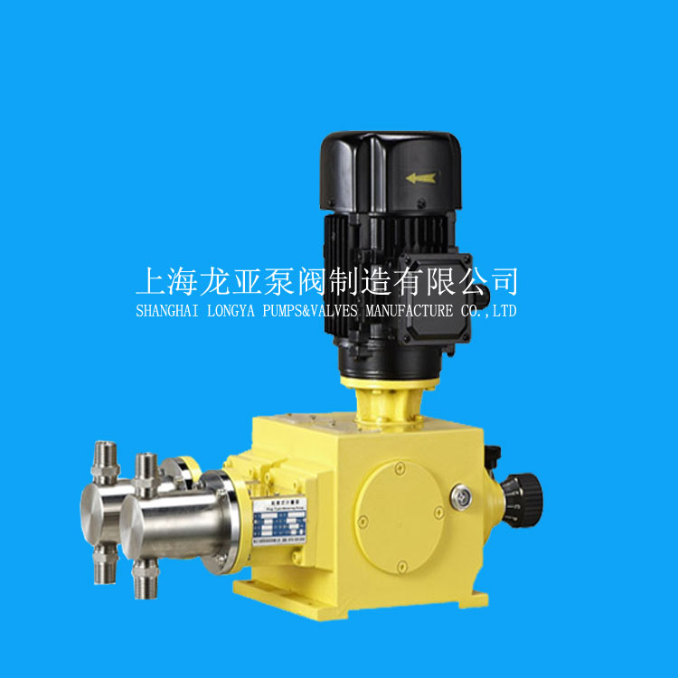 上海龙亚供应加药计量泵 自动计量泵 JYZJK加药泵