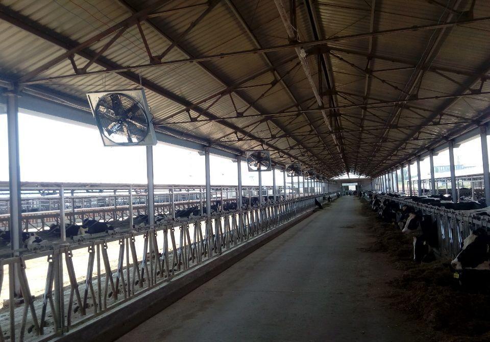 厂家供应鸡棚专用排风降温设备