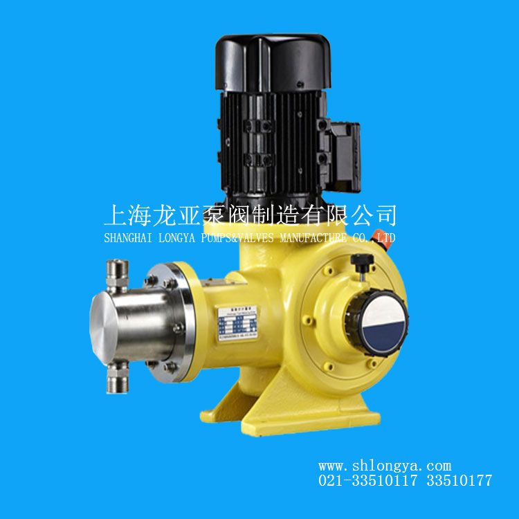 PS1D054C电机驱动计量泵/SEKO机械计量泵PS1D054C-220L计量泵-淼