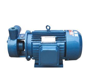 W型漩涡泵 1W2.5-12
