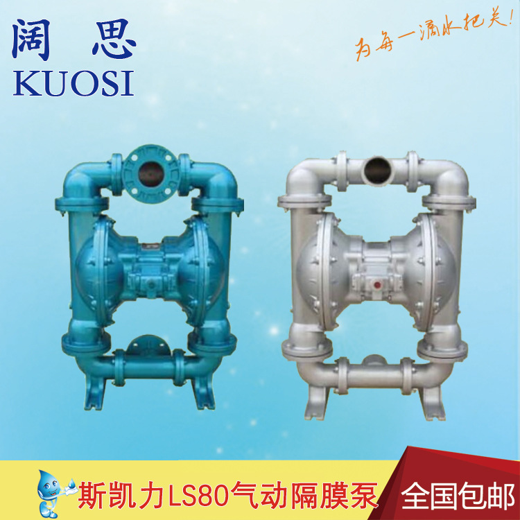 【耐酸气动隔膜泵】Skylink隔膜泵气动LS80 CS-AA-NE-PP-NE-00