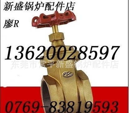志大闸阀