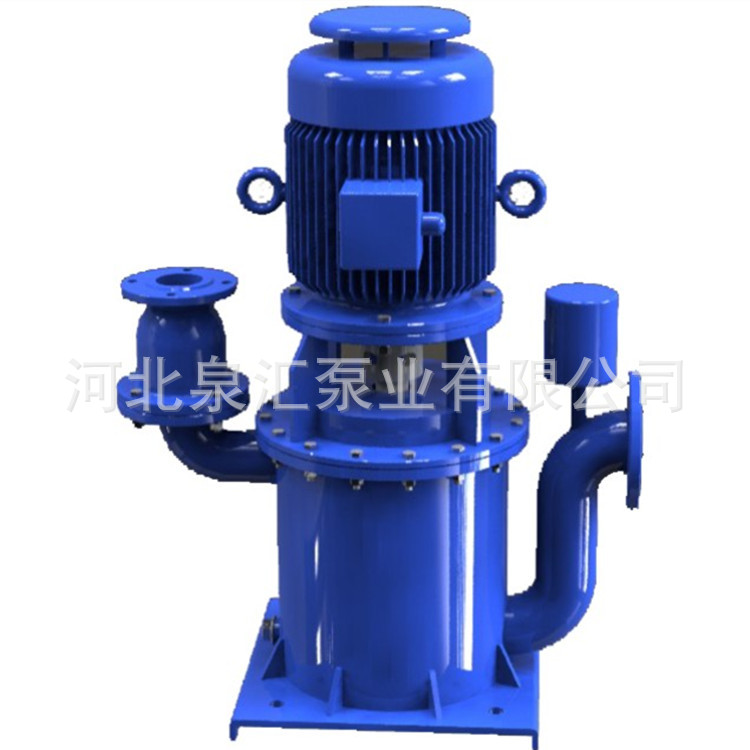 专业生产 立式自吸泵 污水提升泵 600WFB-AD 现货供应 保证质量