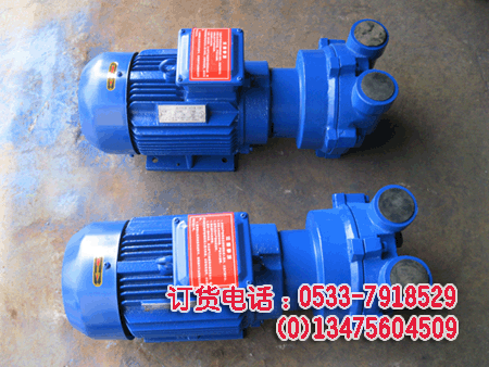 供应水环式真空泵 循环水环式真空泵2BV-2060循环水真空泵