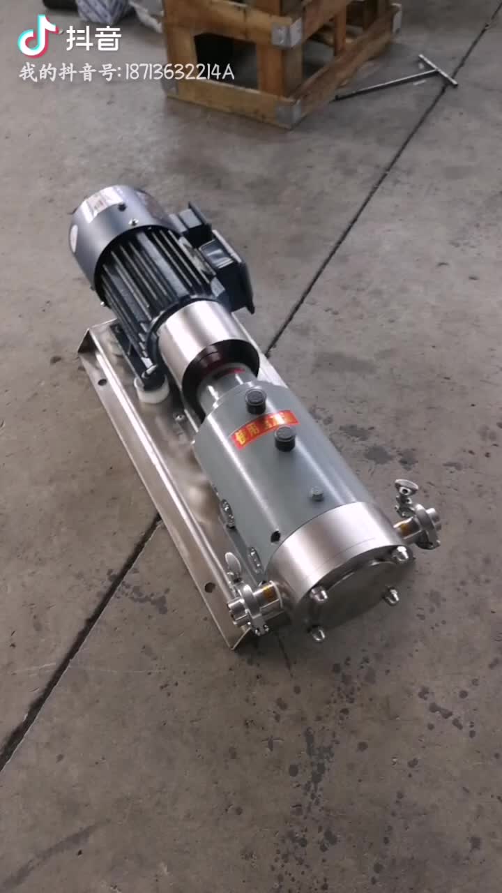 转子泵NYP型内啮合高粘度泵  NYP内环式高粘度转子泵