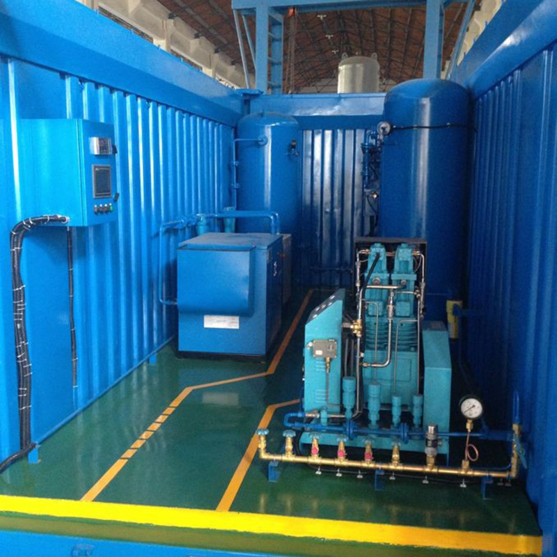 集装箱式氧气发生器 专业高纯度氧气制氧机 食品化工厂臭氧发生器