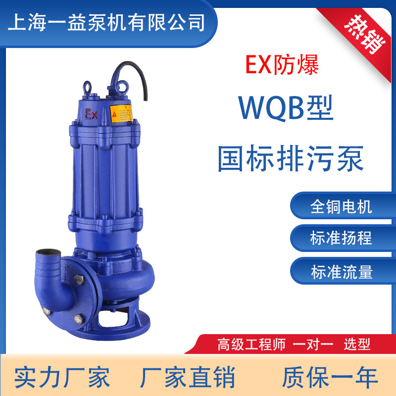 WQB/BQW隔爆潜水泵 EX防爆水泵 矿用潜水泵 50WQB10-10-0.75型