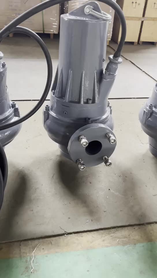 厂家直供5.5kw高扬程螺旋离心泵活体输送结构紧凑立式潜污泵