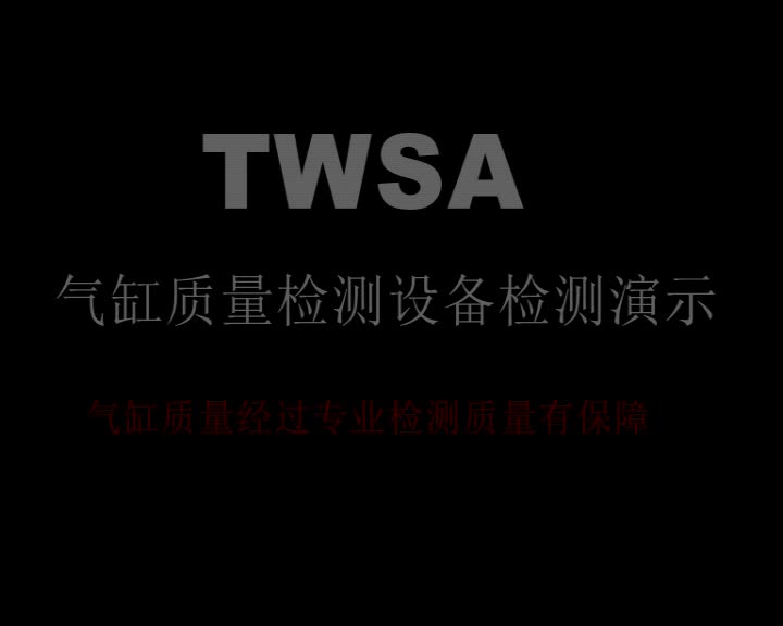 世安TWSA 带指示灯式电磁阀精密高压电磁阀换向阀液压气动元件