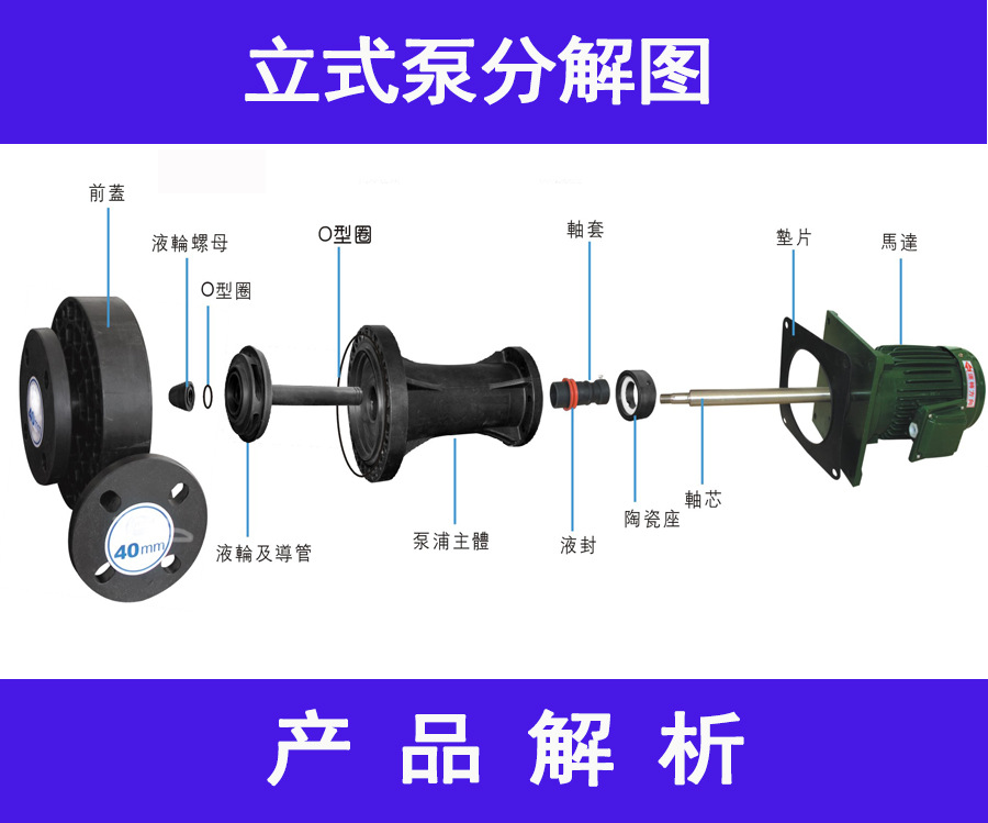 立式泵分解1