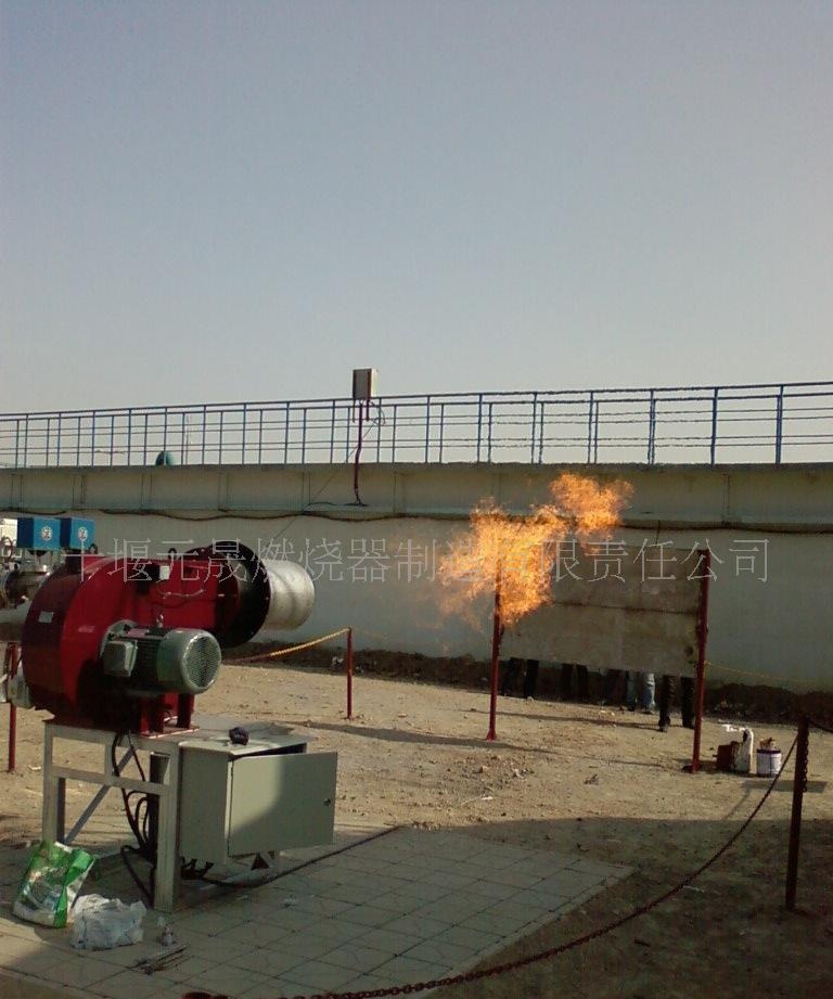 专业燃气燃烧器天然气燃烧器液化气燃烧器沼气燃烧器