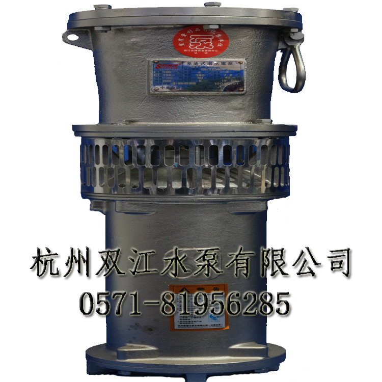【厂家专供】QYF不锈钢潜水泵，QYF喷泉泵，杭州潜水泵厂家