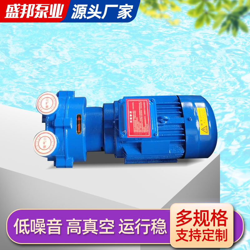 山东厂家生产2BV系列水环式真空泵及压缩机 水环真空泵 2BV水环泵
