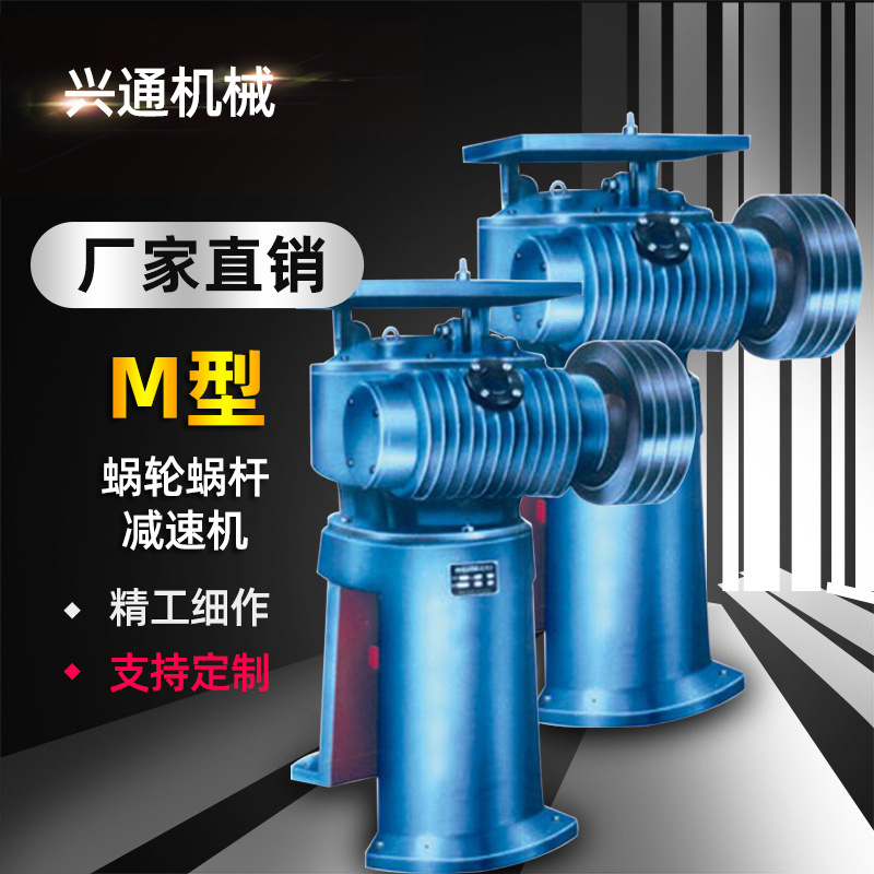 厂家供应品质M型减速机可定制  摆线针轮减速器 蜗轮立式减速机