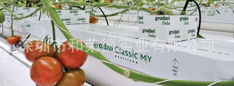 Grodan-Classic-MY