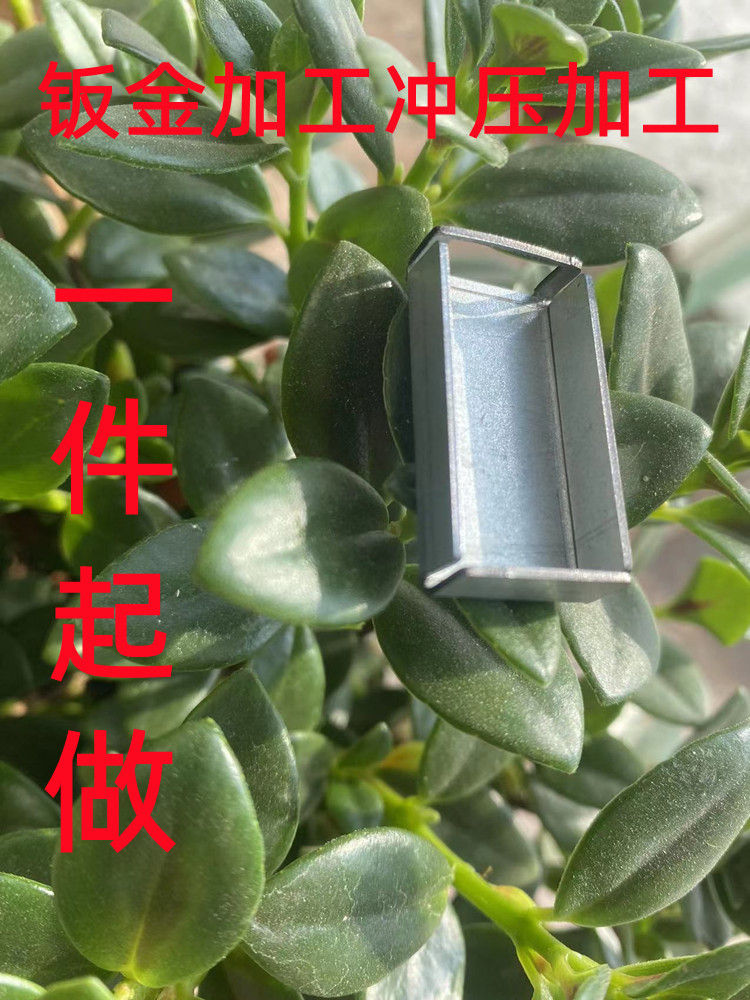微信图片_20230302091841