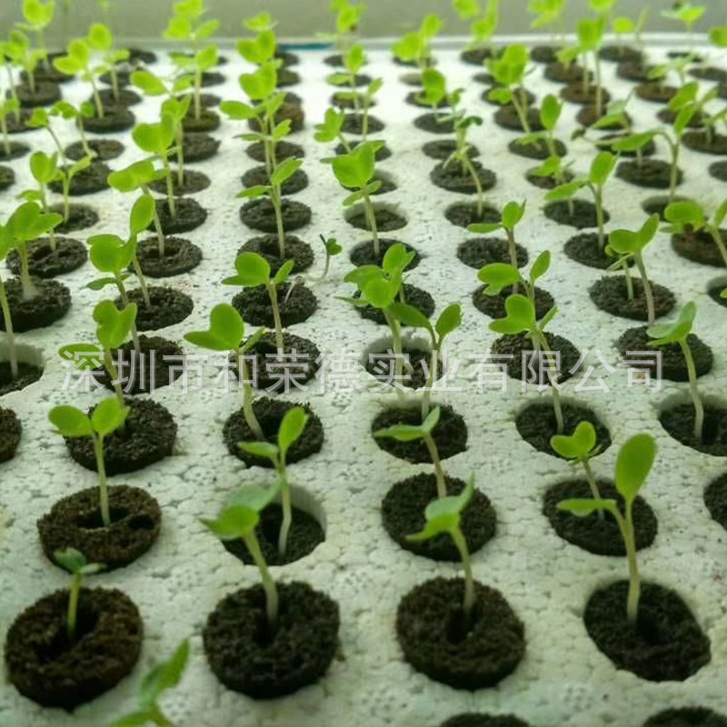 泥炭种植育苗块NT13