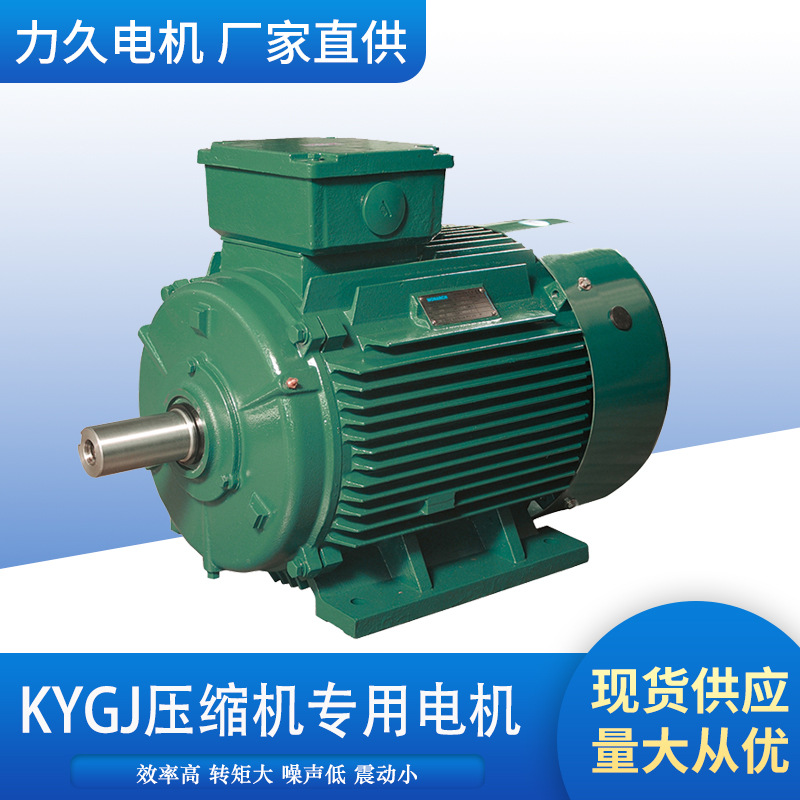 山东力久KYGJ系列（IP55）压缩机率三相异步电动机压缩机电机