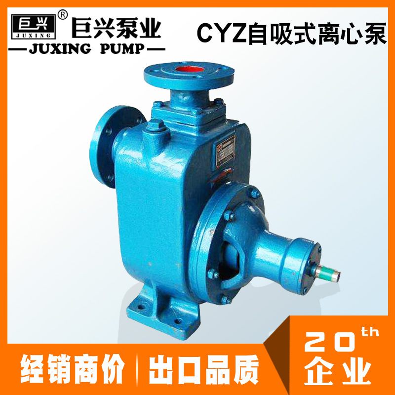 定制自吸化工泵 现货自吸式卸油泵 小型自吸式离心泵 CYZ离心油泵