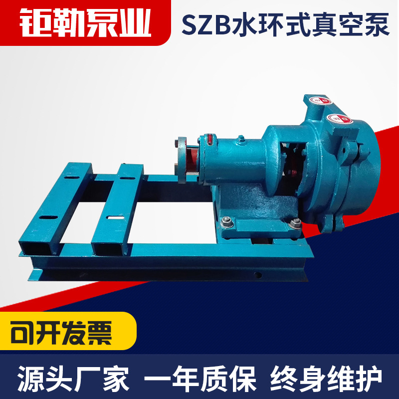 山东供应铸铁水环式真空泵 SZB系列水环式真空泵 悬臂水环真空泵