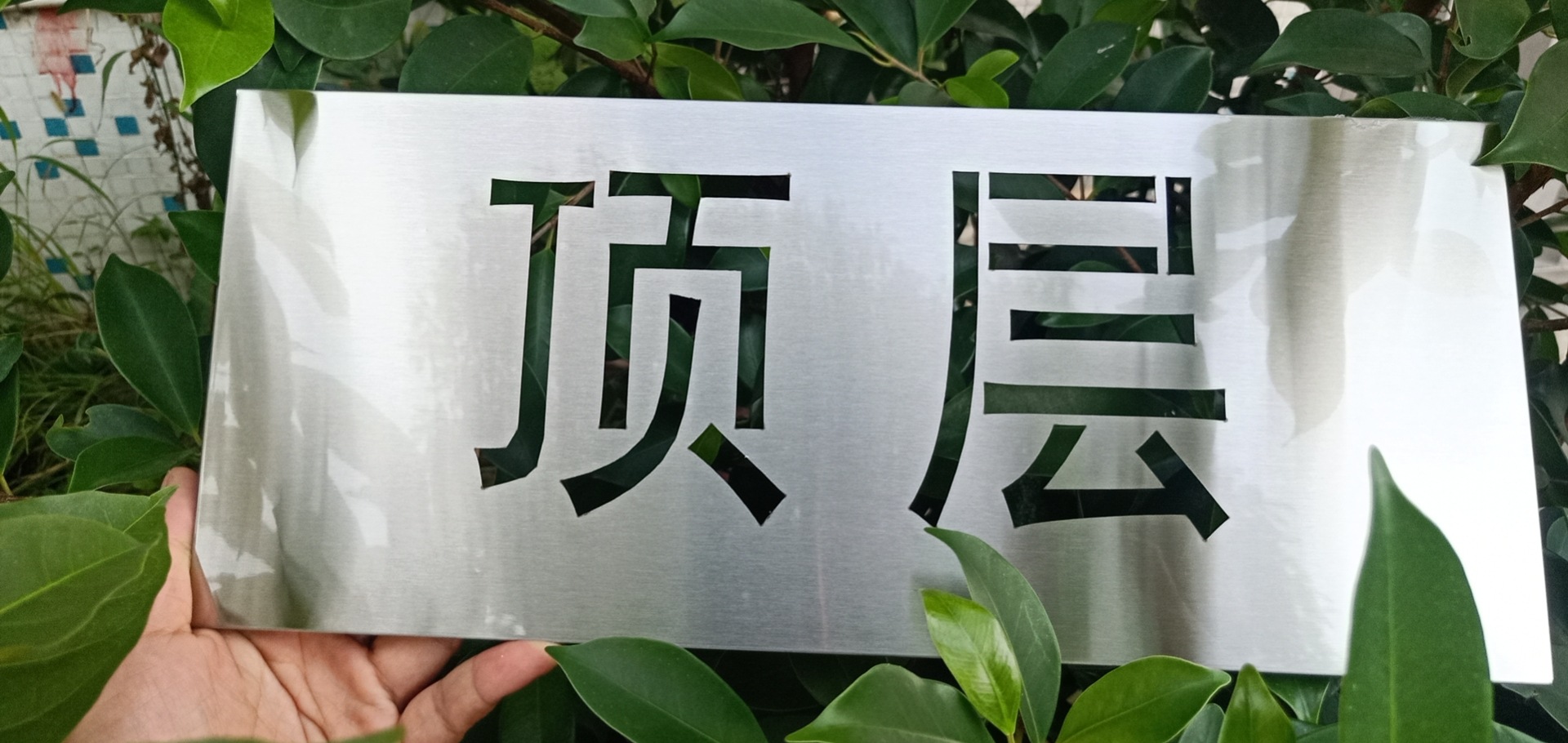 顶层
