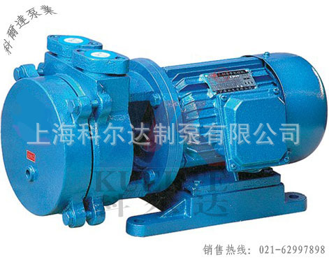 KUERTE/科尔达 水环式真空泵 真空泵 直联水环式真空泵 SK-0.4