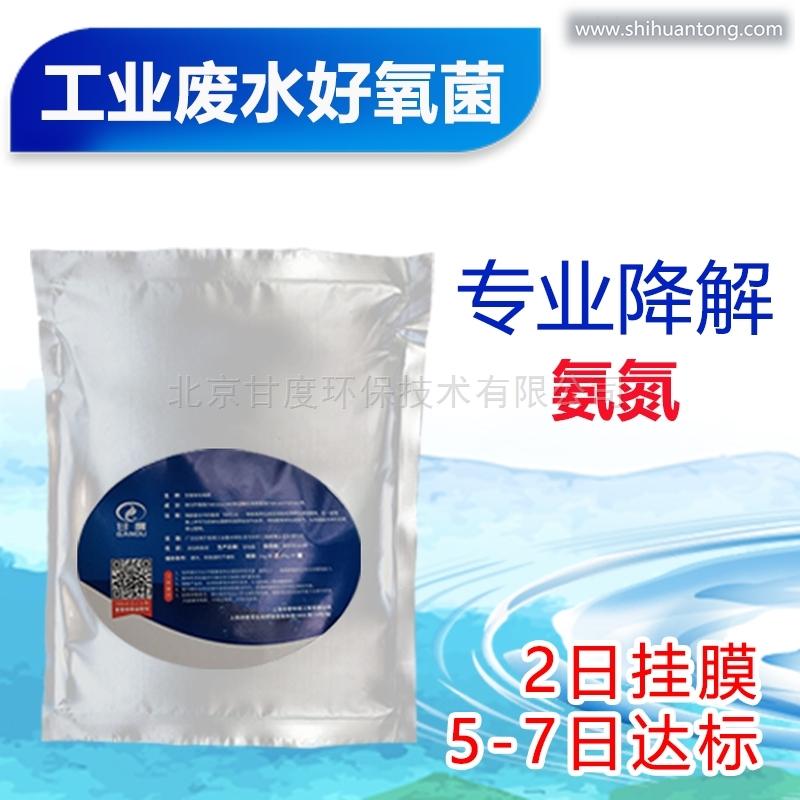 北京甘度工业废水污水处理菌 氨氮去除菌剂 微生物制剂 