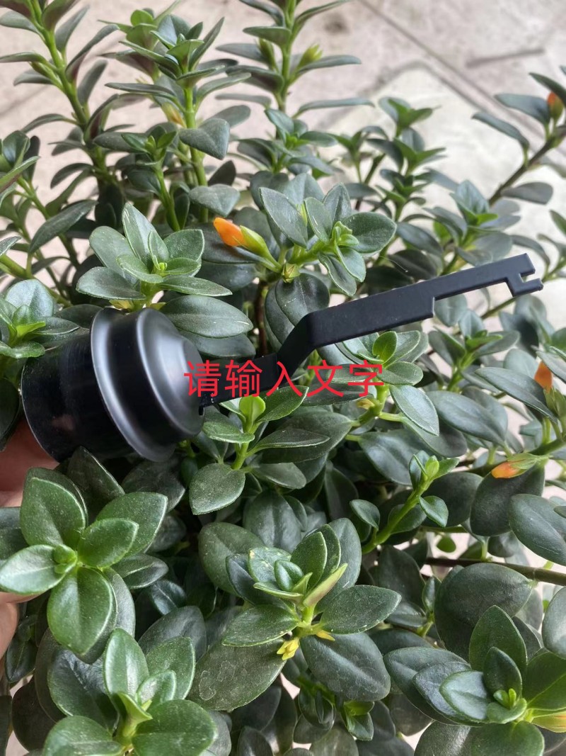 微信图片_20230413214135