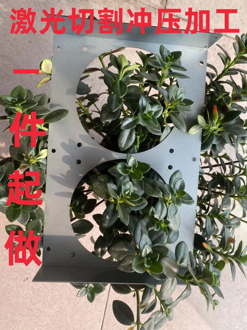 微信图片_20230413213940