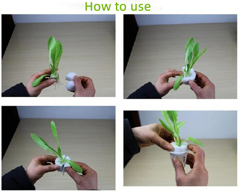 定植方法