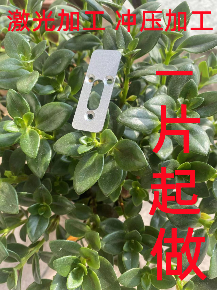 微信图片_20230302091748