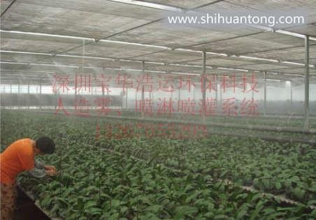 广西桂林温室大棚微喷降温灌溉系统设计安装 节水灌溉