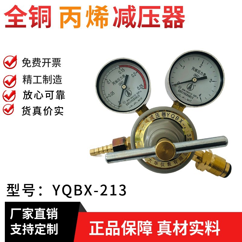 勇超牌丙烯减压器/丙烯减压阀YQBX-213型临海市大华仪表有限公司
