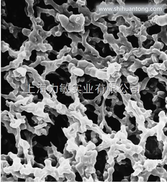 milliporeGSTF02500，MCE滤膜0.22um（不含表面活性剂）