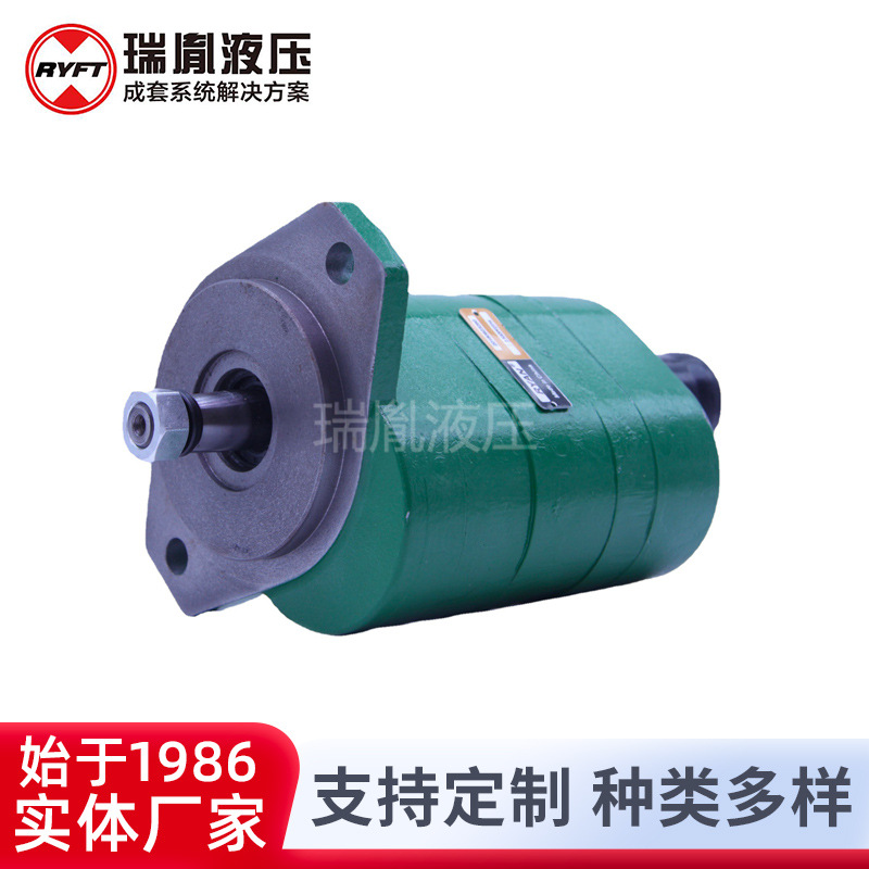 厂家供应瑞胤 液压系统 液压  高性能 齿轮泵